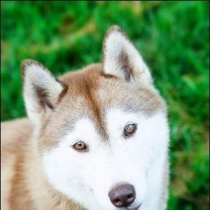 Meet your Posher, Evyenia